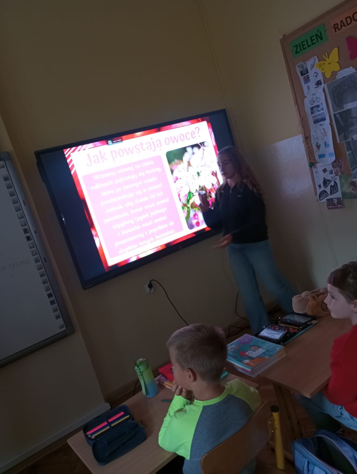 niepodpisany obrazek Społeczna Szkoła Podstawowa nr 2