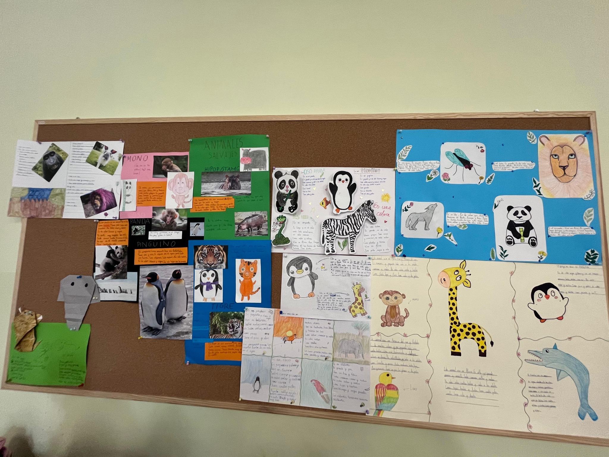 Projekt klasy 5 – „Animales salvajes