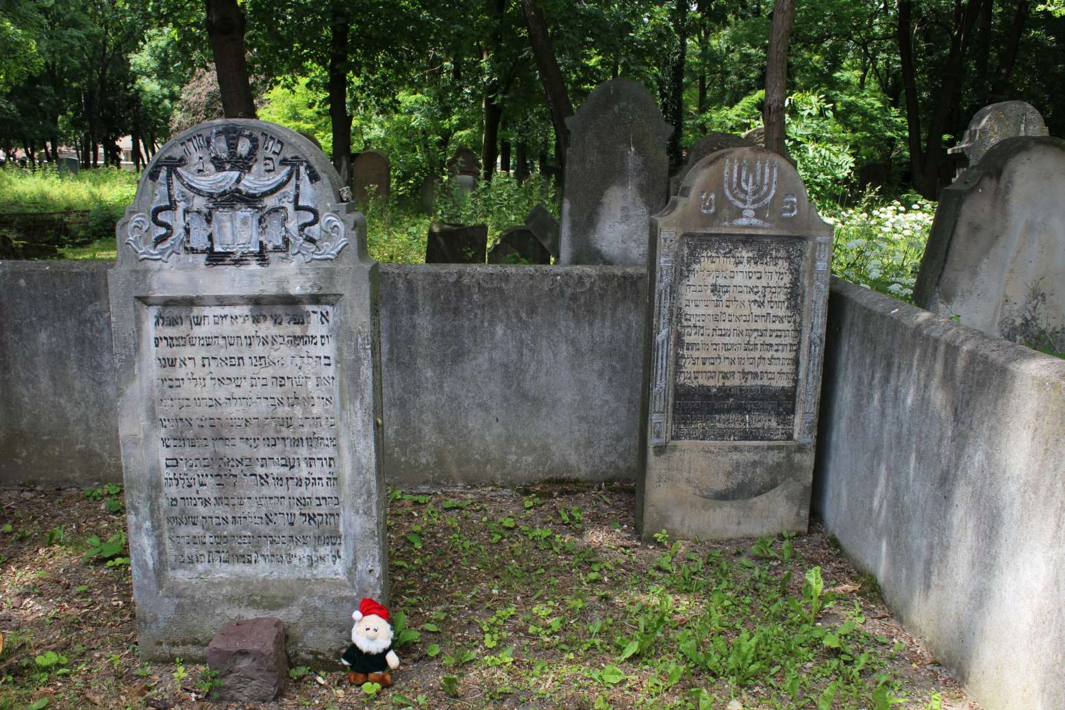 Cmentarz Żydowski (3)