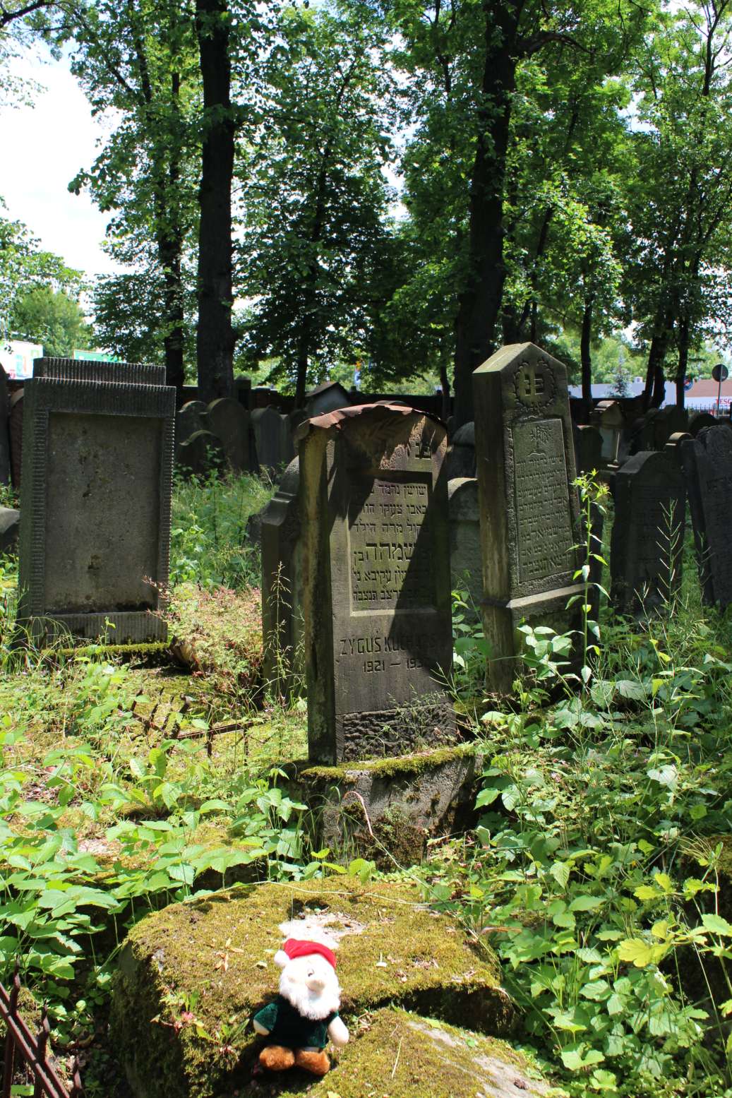 Cmentarz Żydowski (5)
